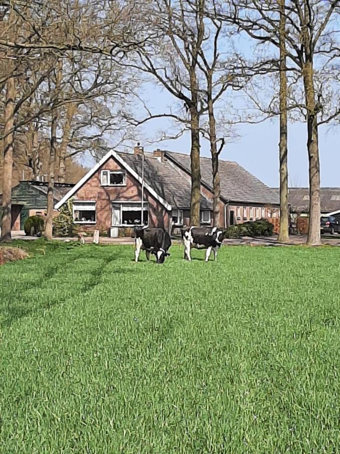 Hoeve De Laan Woudenberg Экстерьер фото